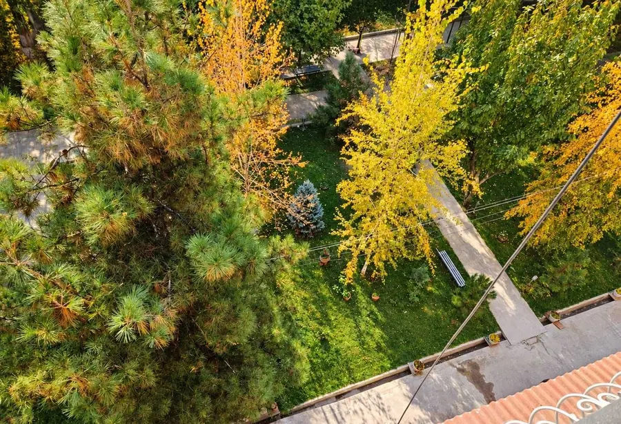 Шикарная квартира, 4 комн., 100 м², 4/4 эт., Яккасарайский, около 100 м² — фото 4