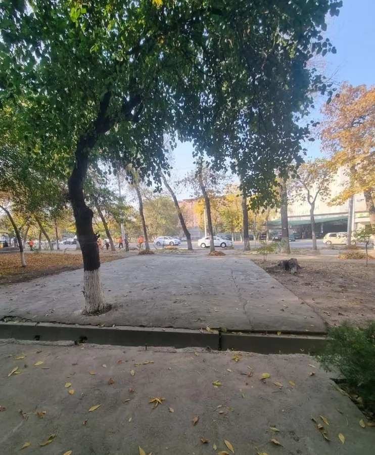 Помещение, 30 м², Чиланзарский, Чилинзор 19 квартал — фото 5